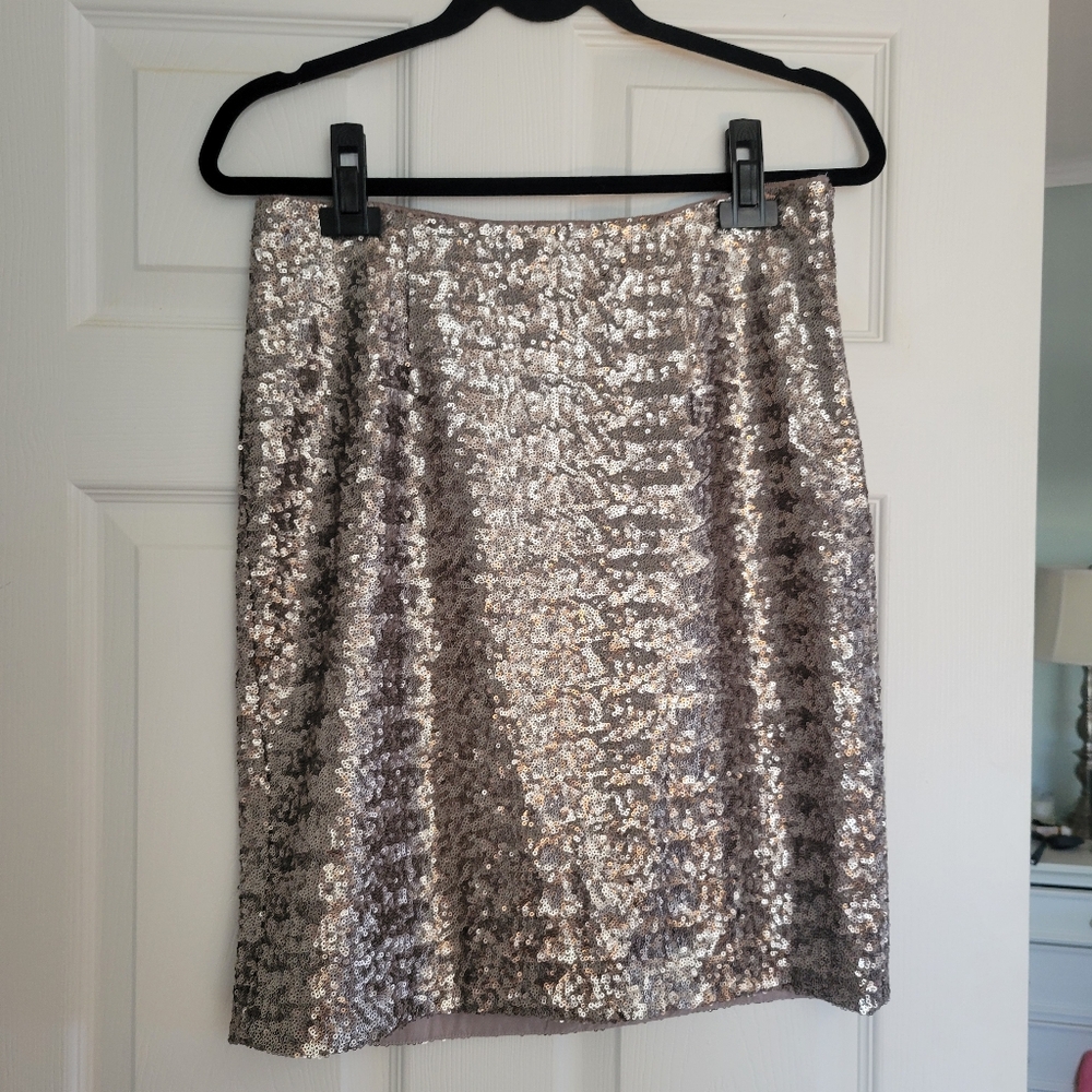Banana Republic Sequined Skirt